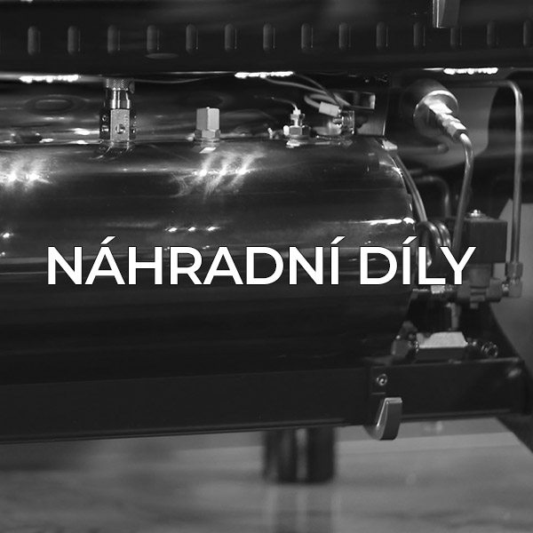 dily-bw